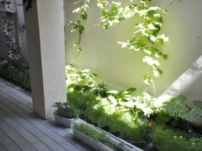 Отель Николетта