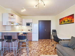 Апартаменты ОК! Елизаровых 15/1