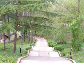 Пансионат Химик