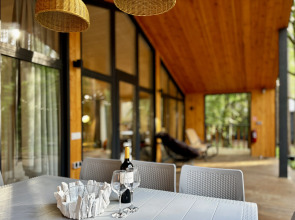 Частный дом Большая Репинская дача в лесу