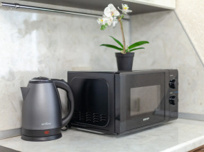 Апартаменты  RentPlaza на Улице Революционной-Центр