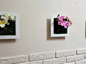 Апартаменты Добрый Дом в ЖК Новин