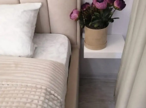 Апартаменты на Толстого 2