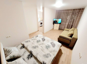 Квартира Rooms 55