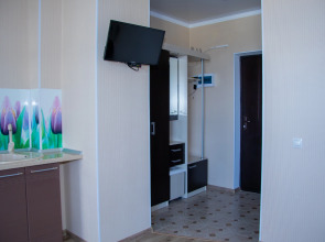 Апартаменты 7 Level 1