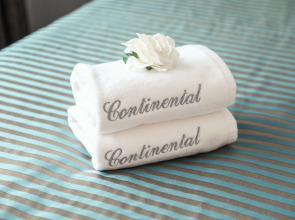 Отель Континентал