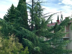 Апартаменты На Цветном бульваре