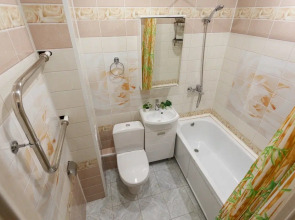 Апартаменты Две Подушки на Ленинградской 62 251