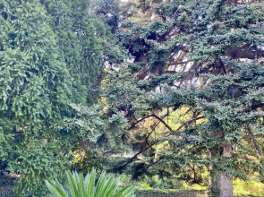 Гостевой дом Семейный отдых у моря