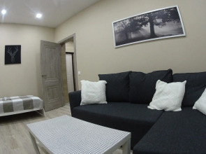 Апартаменты Улучшенные на Олимпийская 79