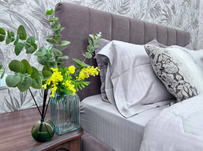 Квартира Однокомнатная Премиум Симферополь