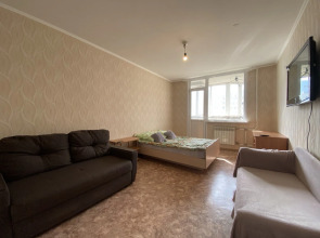 Апартаменты LikeHome на Гаранькина 21/1