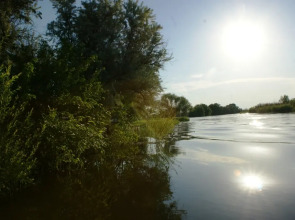 Гостевой Дом Берлога