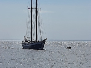 Квартира- студия на Берегу Финского Залива