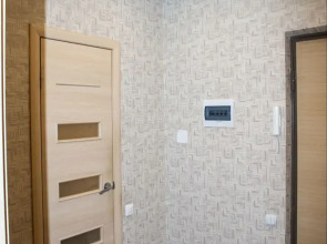 Квартира Просторная и Уютная Однокомнатная с Кроватью и Диваном в ЖК Новый Свет