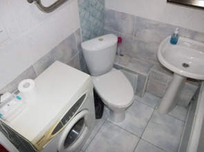 Двухкомнатные апартаменты у ДК Металлургов. Барбарис