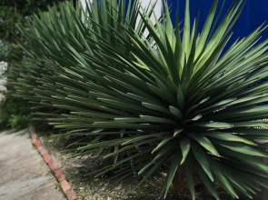 Гостевой Дом Синди