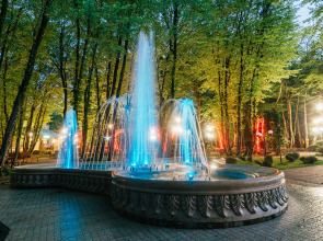 Отель Лесная поляна