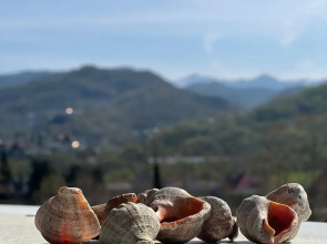 Апартаменты с Видом на Горы