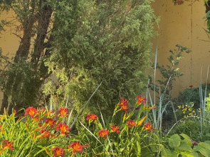 Гостевой дом Идиллия