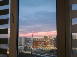 Апартаменты Рыжий Кот Дружный