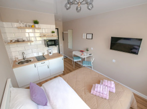 Апартаменты TopHouse на Калинина 105, 2