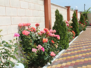 Гостевой дом Ангелина