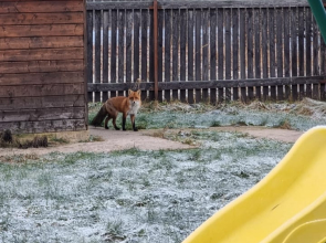 Гостевой дом Лето