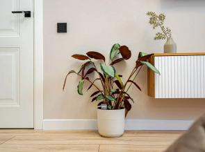 Апартаменты Cosmos Apart в ЖК бизнес-класса (4) на Островского