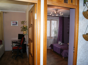 Апартаменты Оливия на Радищева