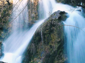 Жилые помещения Эко дом Перевальное