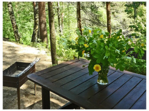 Частный дом 1 Коробицыно