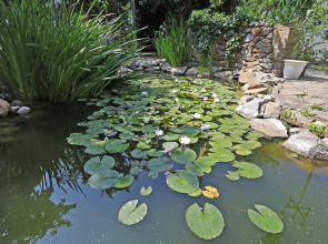 Гостевой дом Парк-отель Казантип Центр