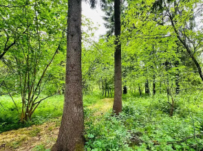 Шале Зеленый домик в лесу на Живописной улице