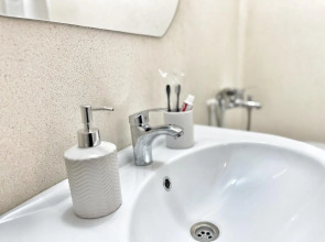 Квартира Елена Озерки