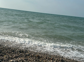 Гостевой дом Авокадо