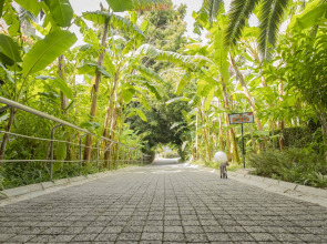 Sealife Buket Resort & Beach Hotel – All Inclusive