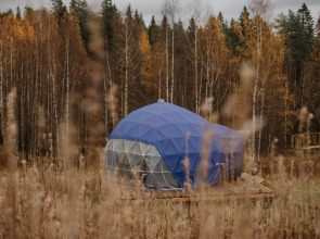 Глэмпинг Папоротник