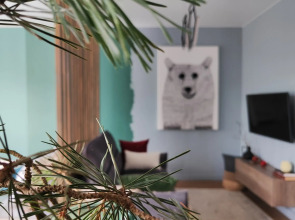 Апартаменты Life for funny Kranz