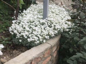 Гостевой дом Дача на море Крымские каникулы