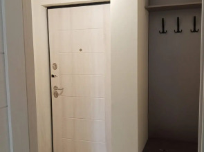 Квартира однокомнатная в Обдорском