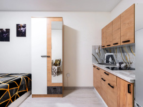 Апартаменты Уютная студия рядом с м. Девяткино