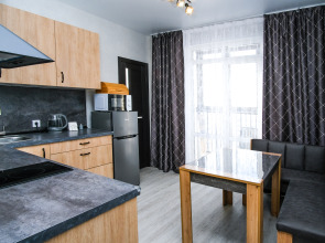 Апартаменты DomVistel Titova 232/3 Apart