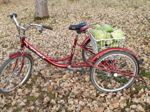 Гостевой дом в деревне Чернокуново