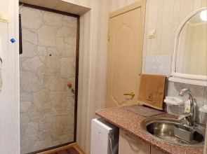 Квартира 1-комнатная на улице Татищева