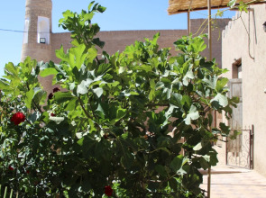 Гостевой Дом Хива Бойджан Ота