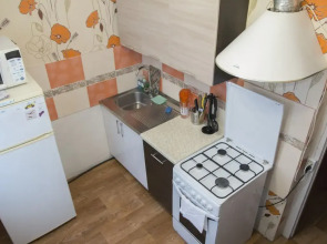 Двухкомнатные апартаменты у ДК Металлургов. Барбарис