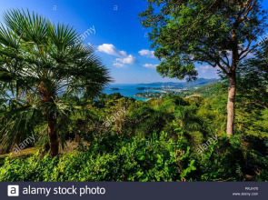 Отель Jazz u garden