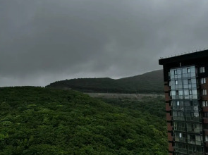 Апартаменты Уютные с Видом на Лес в Новом Жк