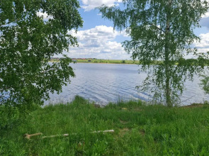 "Банный Остров"